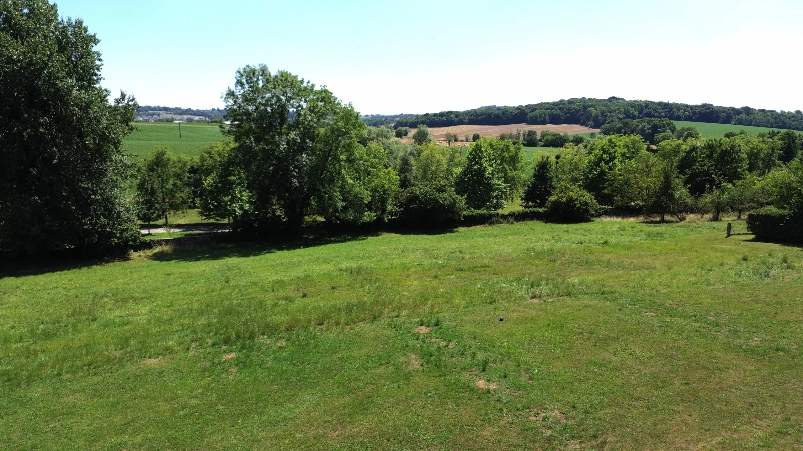 Terrain Pelousey