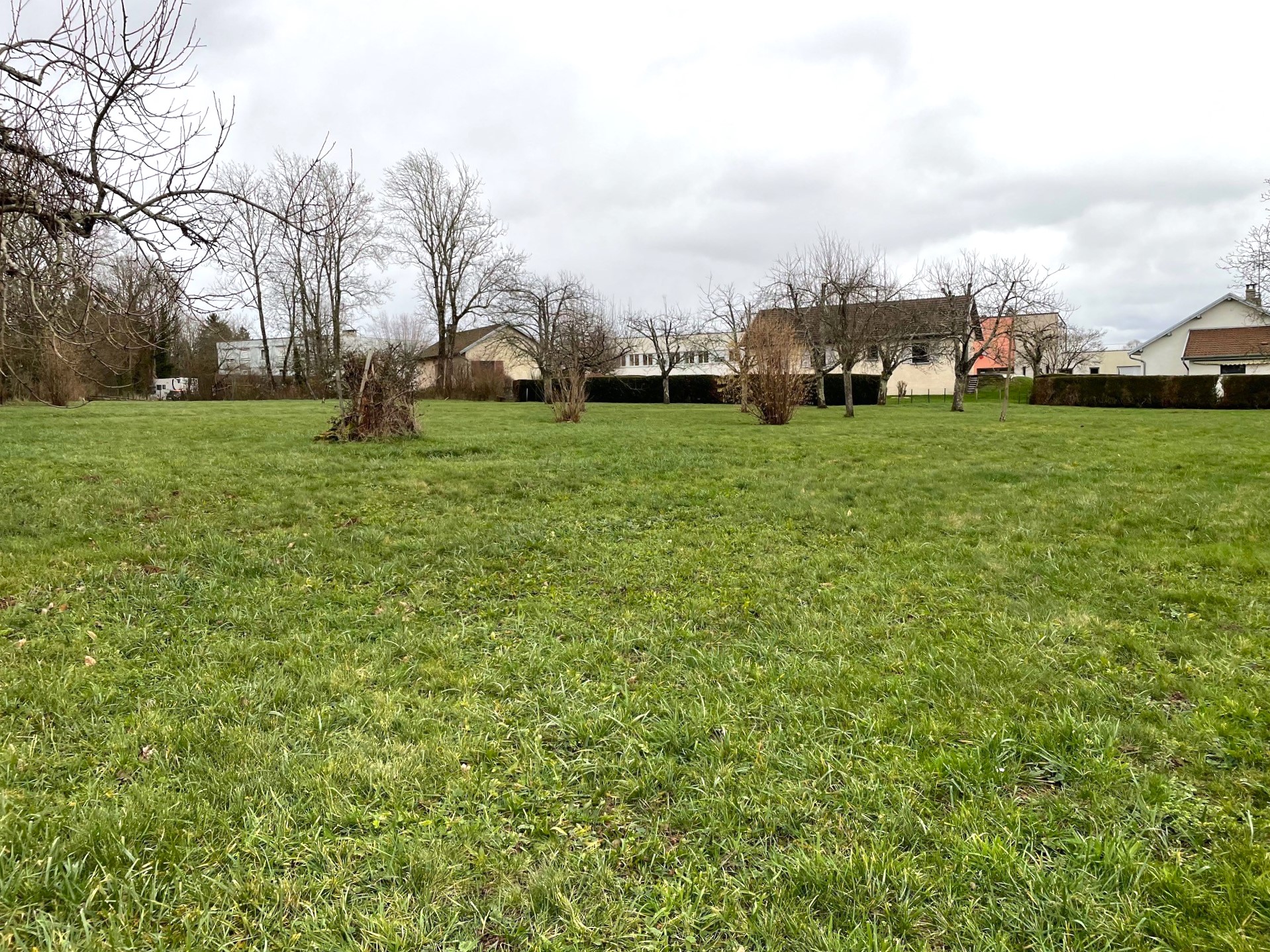 TERRAIN RECOLOGNE