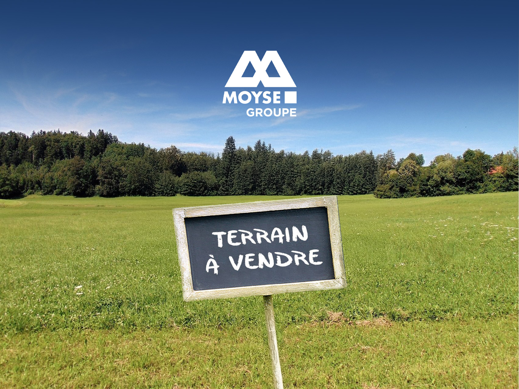 Terrain a vendre Moyse